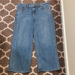 American Eagle Stovepipe jeans size 12 Short